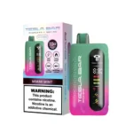 Tesla Bar XT23000 Puff Miami Mint e-cigarette jetable 23000 bouffées 5 % nicotine