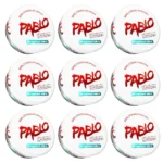 Pack 9× PABLO Exclusive Frosted Mint 50mg Nicotine Pouches – ultra strong menthol nicopods